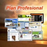 Plan Web Profesional Plan Web Profesional