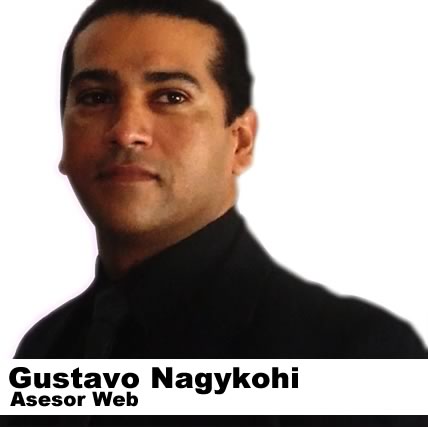 Asesor Web Gustavo Nagykohi